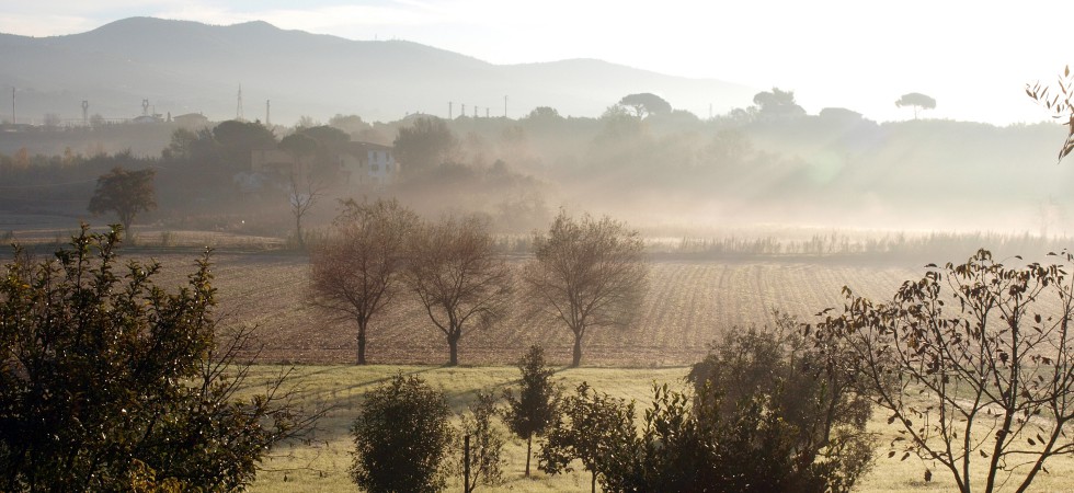 Ausblick vom Garten im Herbst