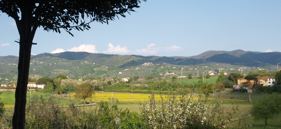 Ausblick vom Garten im Frühling